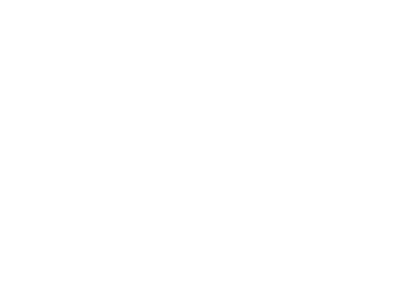 Bron & Bes